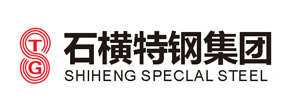 Partner / Brand Logo 7